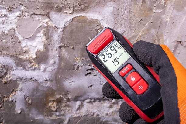Best Toxic Mold Removal  in Tuckerman, AR