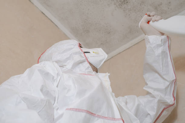 Best Certified Mold Removal  in Tuckerman, AR