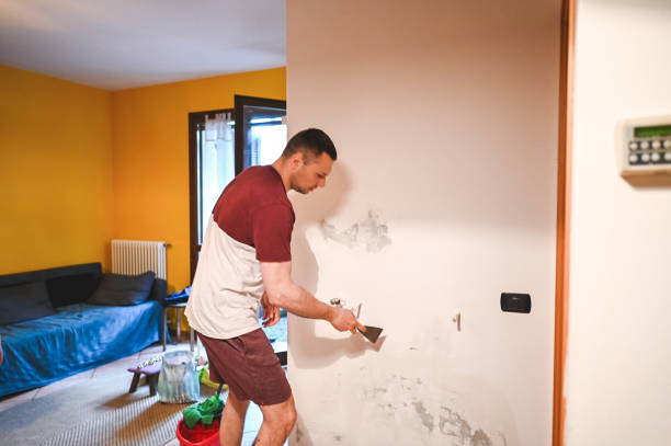 Best Attic Mold Removal  in Tuckerman, AR